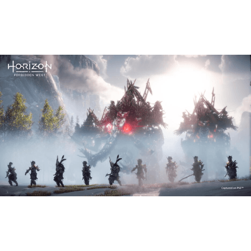 Horizon Forbidden West PS4/PS5 Pl Usato in Giochi Prezzo Bomba Store - Casalnuovo di Napoli, commercioVirtuoso.it