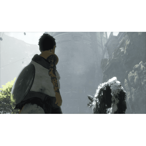 The Last Guardian PS4 PL Usato in Console Prezzo Bomba Store - Casalnuovo di Napoli, commercioVirtuoso.it