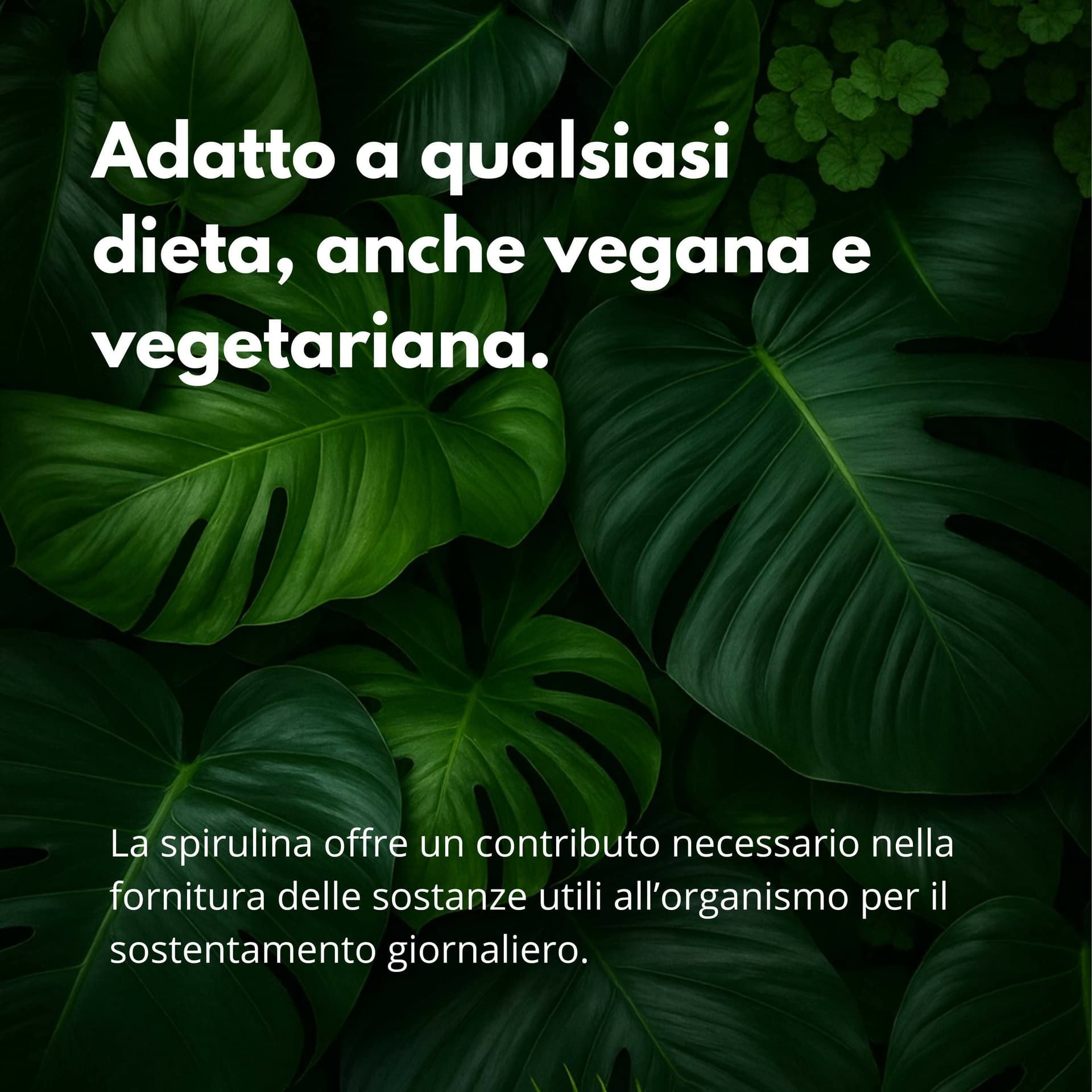 Spirulina Turbo Dimagrante – Integratore per Perdita di Peso – Riduce Fame Nervosa – Ultra Dimagrante Forte e Veloce – 60 Compresse 500mg – AlohaLabs in Spirulina BasketGuru Italia - Palermo, commercioVirtuoso.it