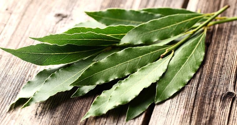 Idrolato Biologico, 5 lt in Tonici e astringenti per il viso Sant’Egle Shop Biologico - Sorano, commercioVirtuoso.it