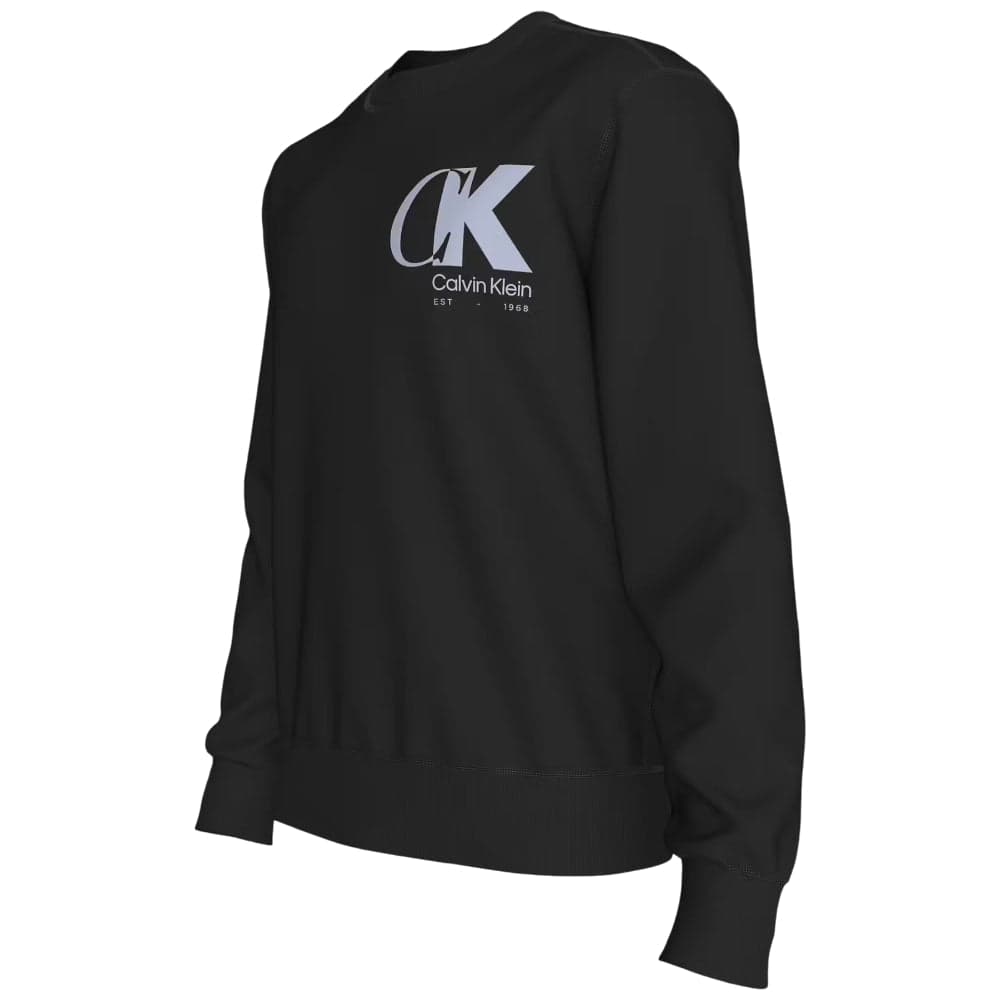 Calvin Klein felpa nera logo sul petto LV04LD243GUB1 in Felpe senza cappuccio Prodotti di Classe - Nocera Superiore, commercioVirtuoso.it