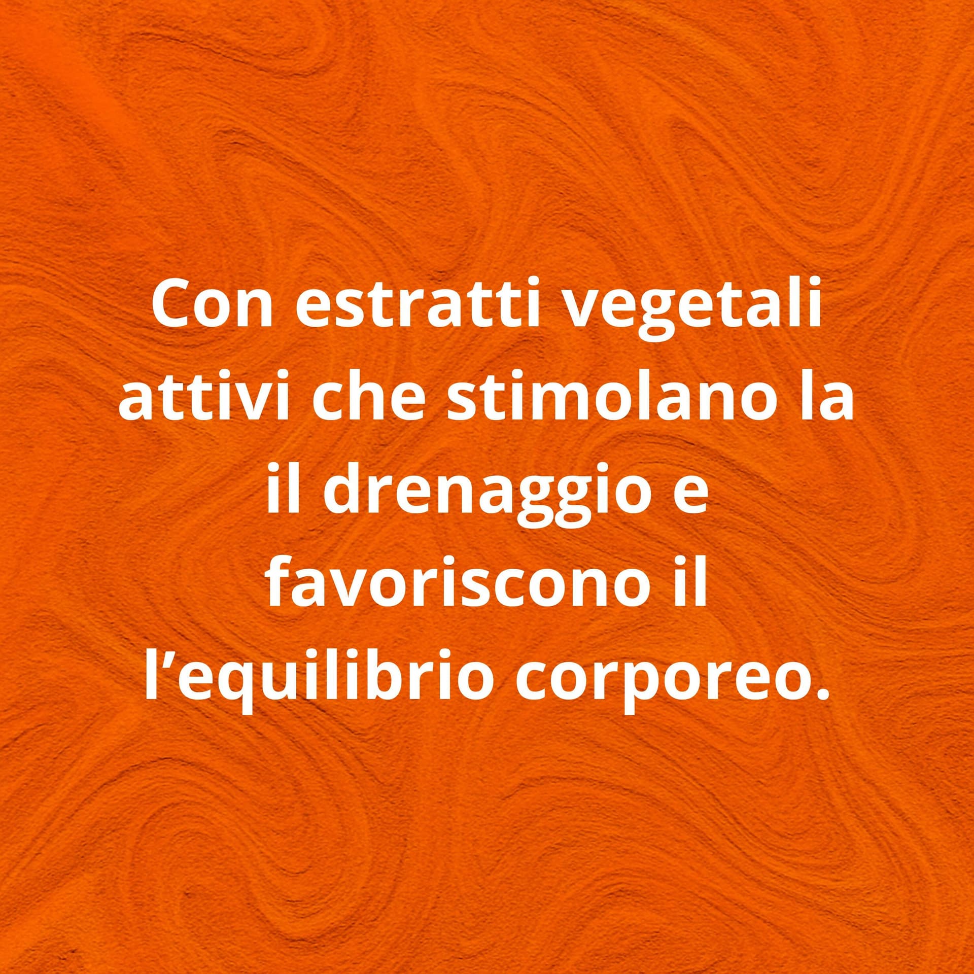 Bio Slim & Dren 400ml – Elisir Drenante ai Tre Estratti – Formula Vegetale Concentrata per Leggerezza e Detox – Senza Glutine in Disintossicazione e purificazione BasketGuru Italia - Palermo, commercioVirtuoso.it