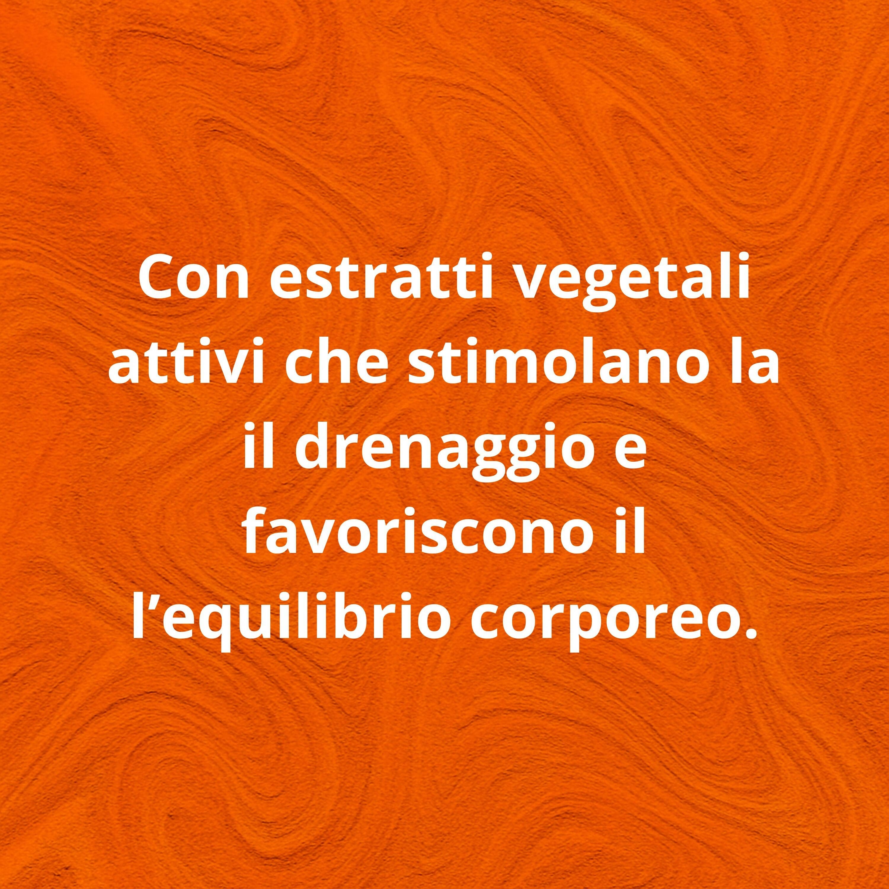 Bio Slim & Dren 400ml – Elisir Drenante ai Tre Estratti – Formula Vegetale Concentrata per Leggerezza e Detox – Senza Glutine in Disintossicazione e purificazione BasketGuru Italia - Palermo, commercioVirtuoso.it