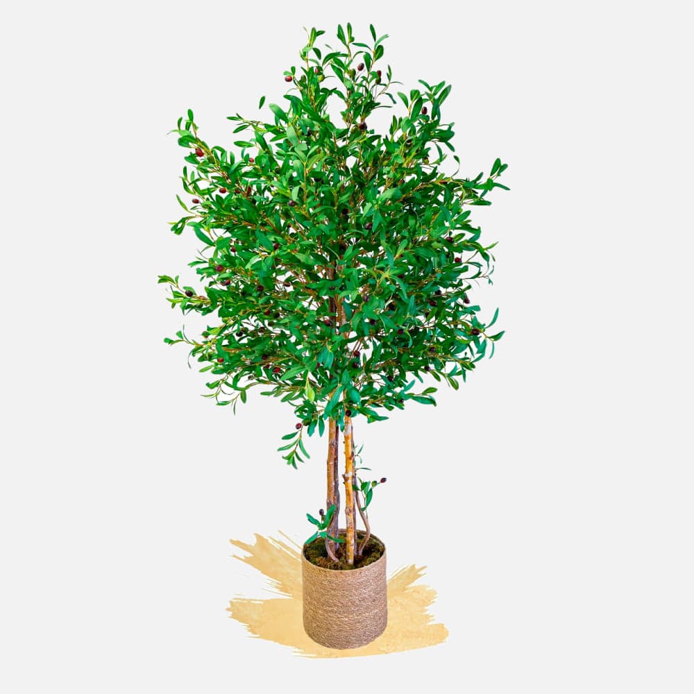 Piante e alberi artificiali