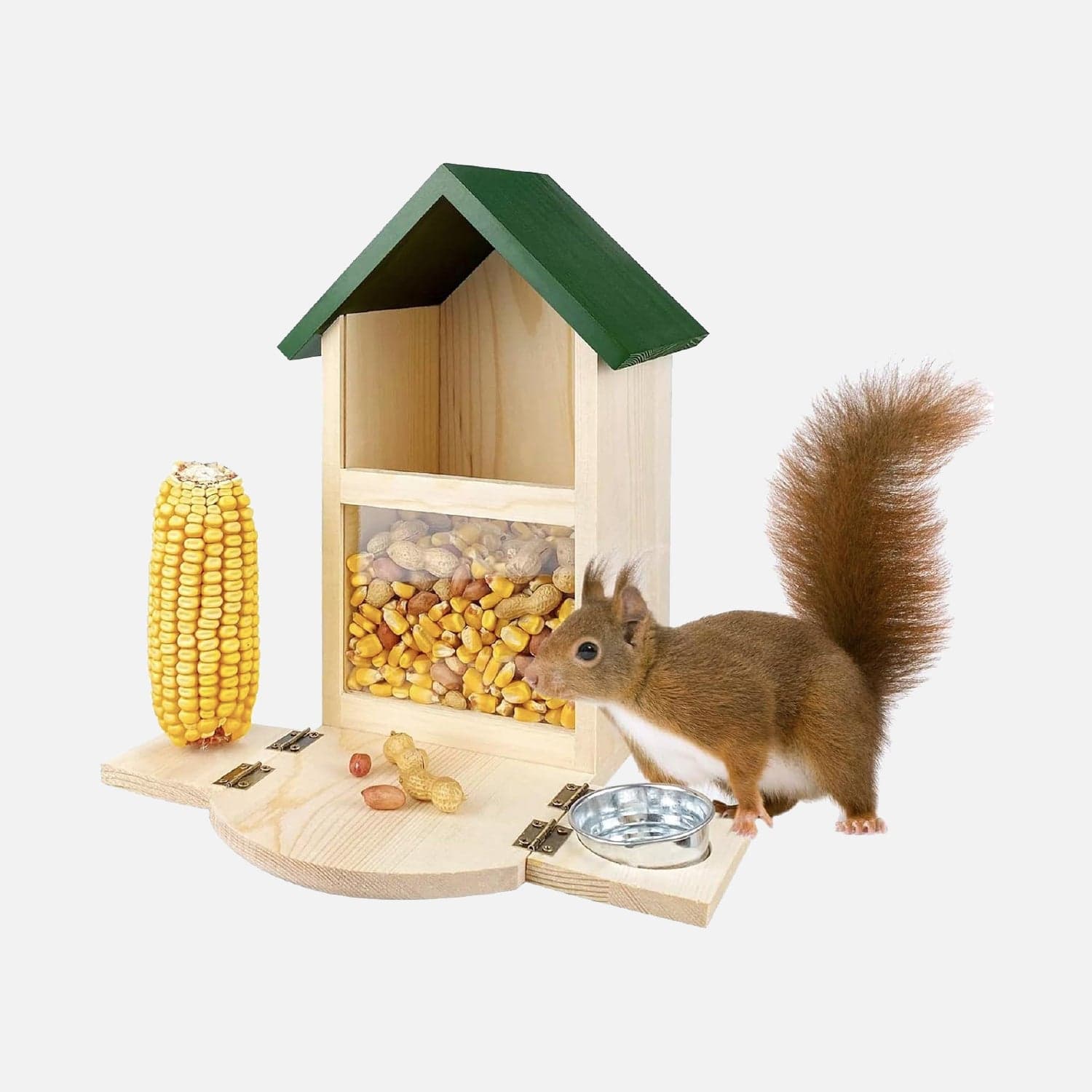 Volatili e piccoli animali del giardino