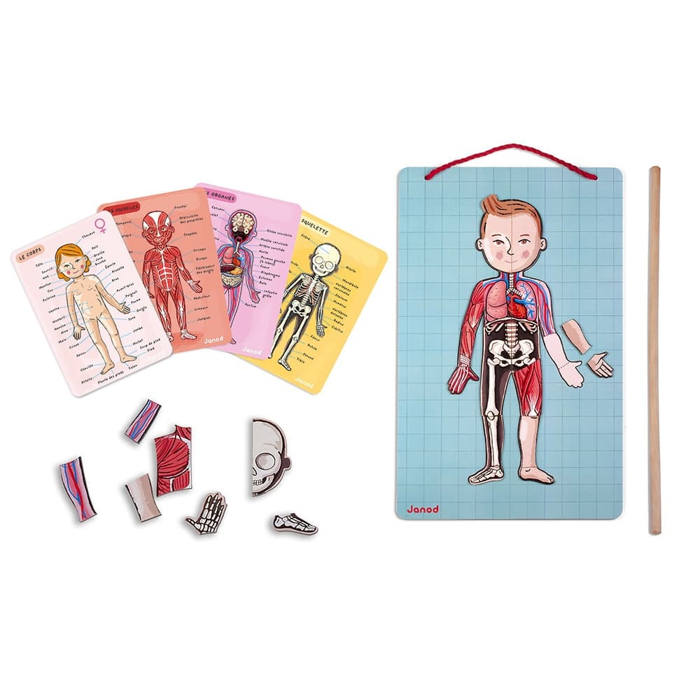 Gioco Educativo Janod Bodymagnet 12 lingue in Giocattoli La Casa Del Bebè - Napoli, commercioVirtuoso.it