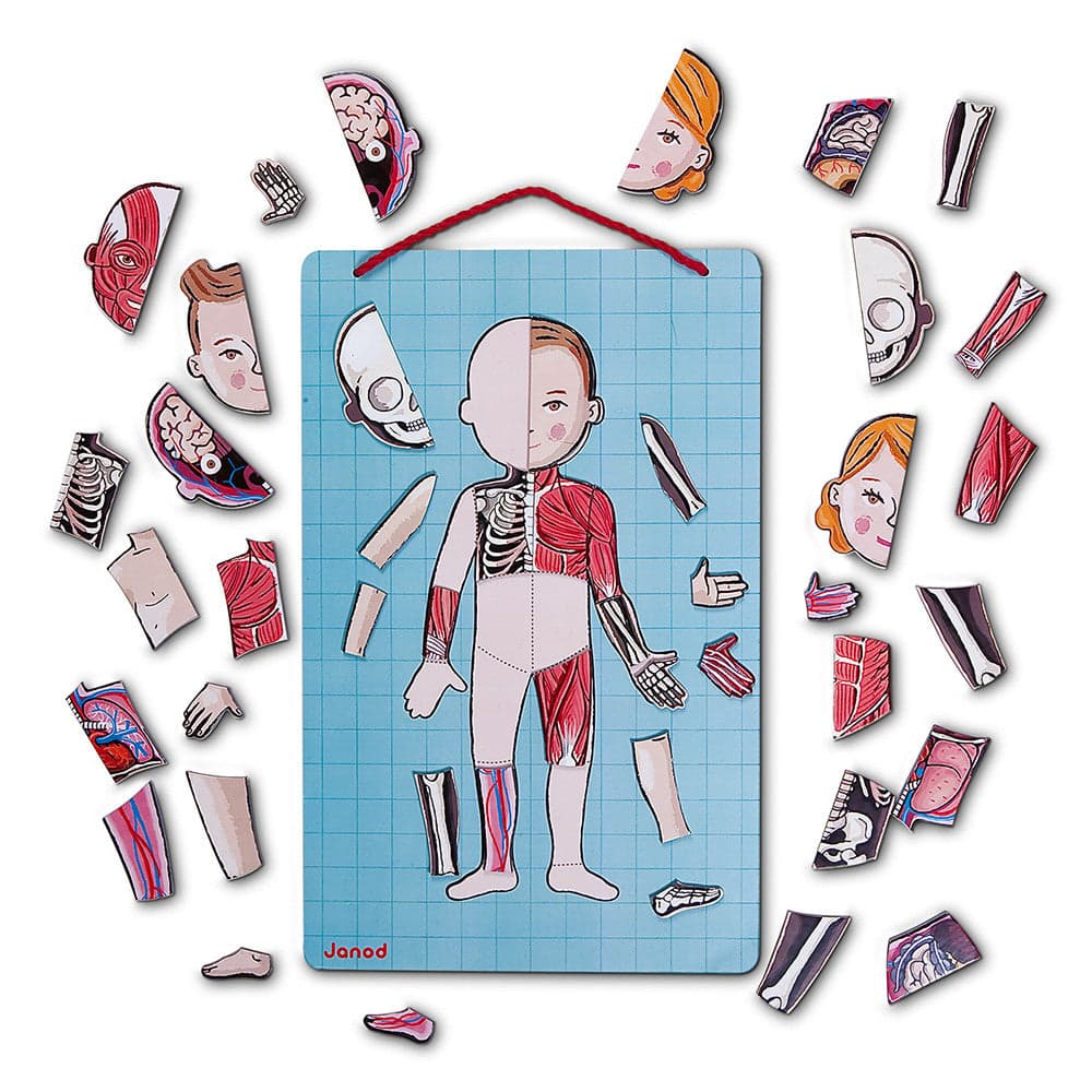 Gioco Educativo Janod Bodymagnet 12 lingue in Giocattoli La Casa Del Bebè - Napoli, commercioVirtuoso.it