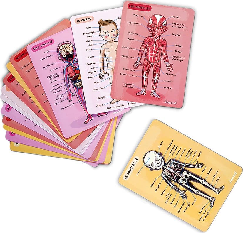 Gioco Educativo Janod Bodymagnet 12 lingue in Giocattoli La Casa Del Bebè - Napoli, commercioVirtuoso.it