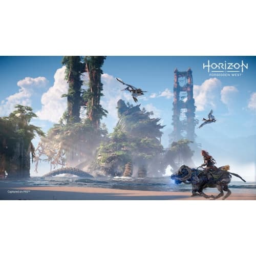Horizon Forbidden West PS4/PS5 Pl Usato in Giochi Prezzo Bomba Store - Casalnuovo di Napoli, commercioVirtuoso.it