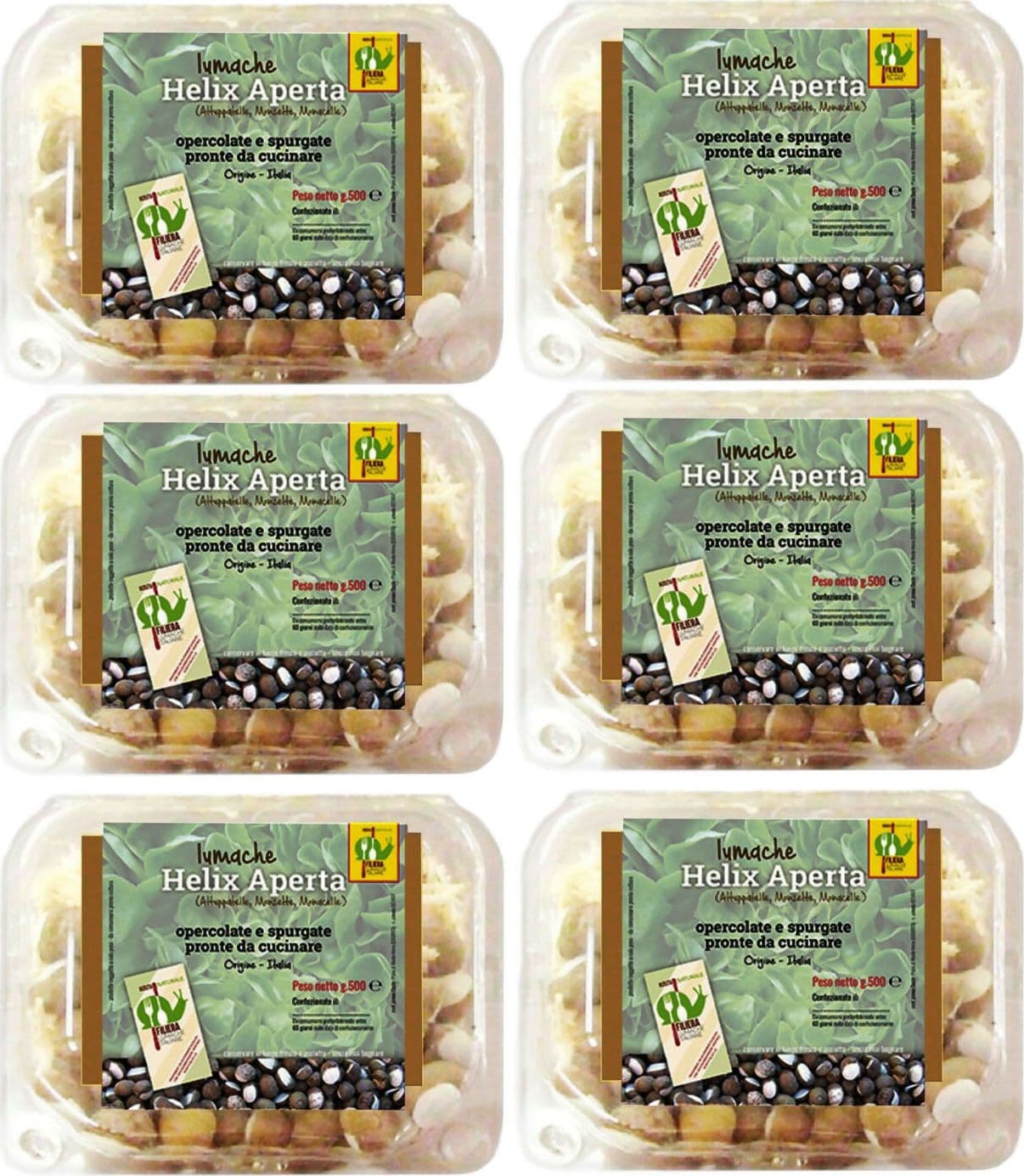 LUMACHE Monacella HELIX APERTA da Gastronomia Spurgate Pronte da Cucinare 100% Italiane + Ricettario Incluso in Lumache Coclè - Piana di Monte Verna, commercioVirtuoso.it