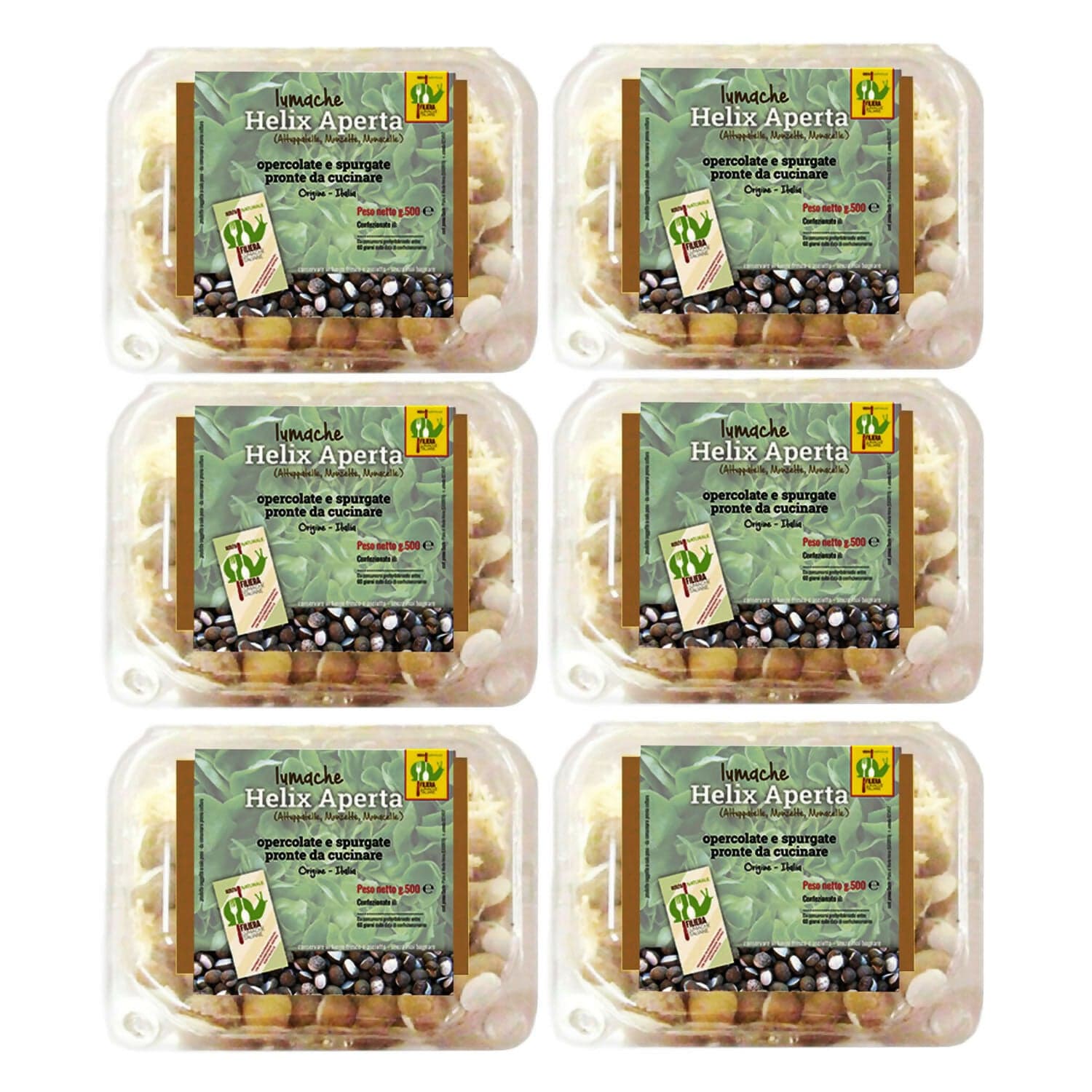LUMACHE Monacella HELIX APERTA da Gastronomia Spurgate Pronte da Cucinare 100% Italiane + Ricettario Incluso in Lumache Coclè - Piana di Monte Verna, commercioVirtuoso.it