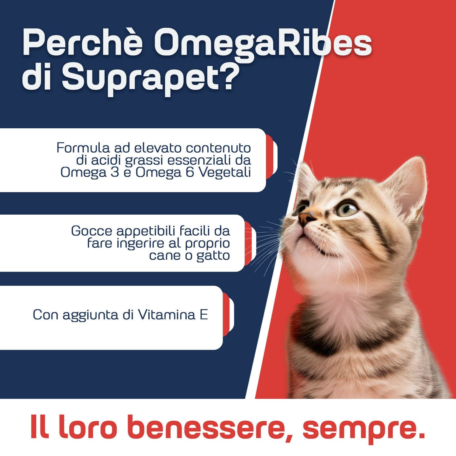 omegaRibes-2