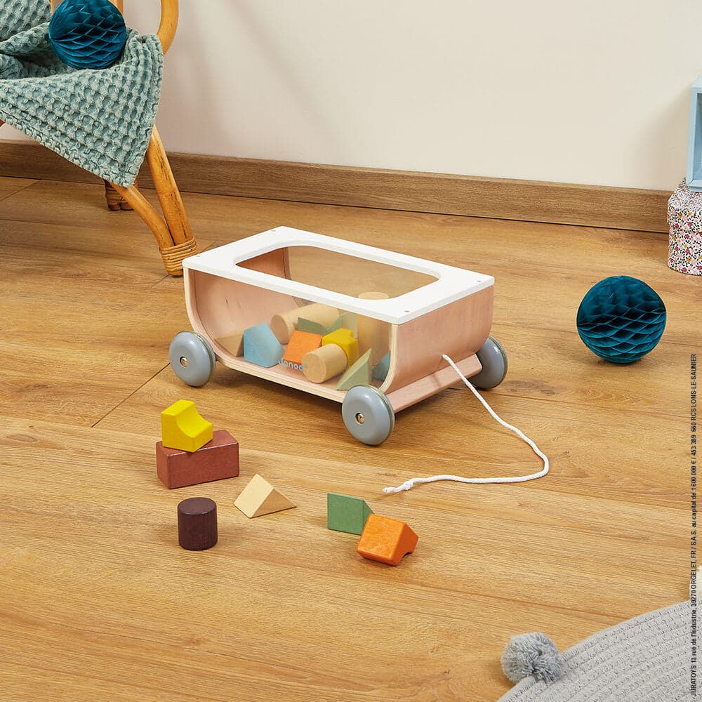 Carrello dei Cubi Janod Sweet Cocoon in Giochi trainabili La Casa Del Bebè - Napoli, commercioVirtuoso.it