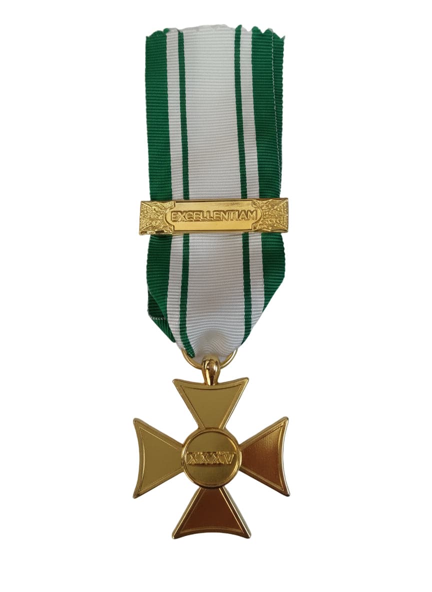 Anzianità 35 anni Croce Rossa Italiana - Nastro / nastrino / medaglia in Medaglie Il Distintivo - Pesaro, commercioVirtuoso.it