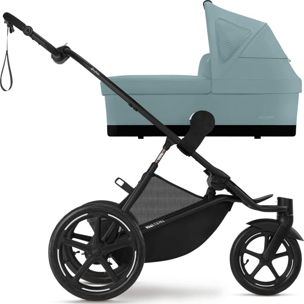 Navicella S Cybex Gold Per Avi Spin in Culle portatili La Casa Del Bebè - Napoli, commercioVirtuoso.it