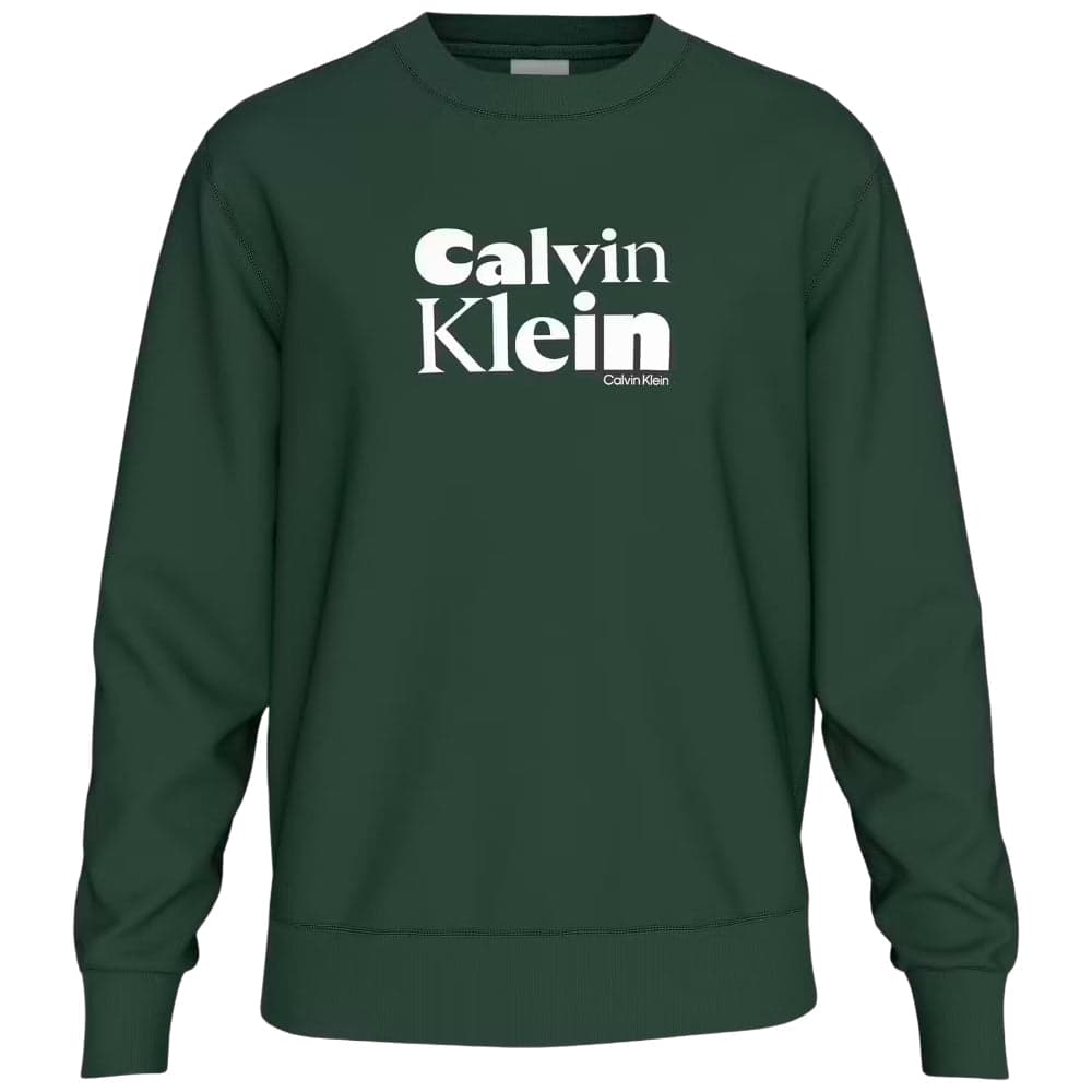 Calvin Klein felpa verde con stampa LV04LD242GLLG in Felpe con cappuccio Prodotti di Classe - Nocera Superiore, commercioVirtuoso.it