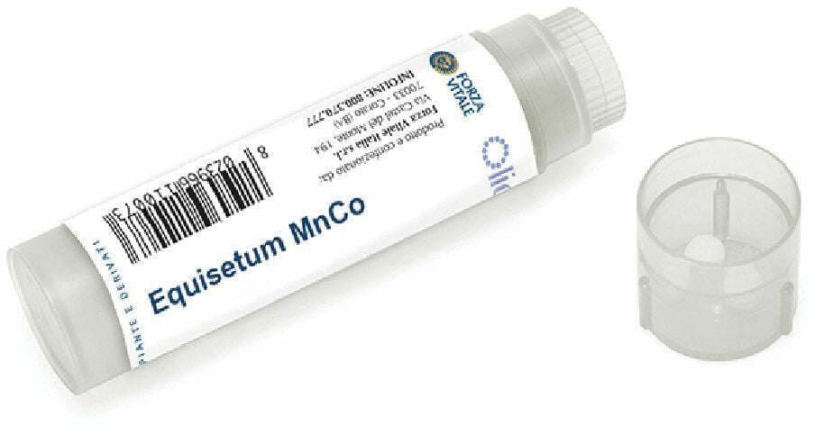 Equisetum mn 100gl