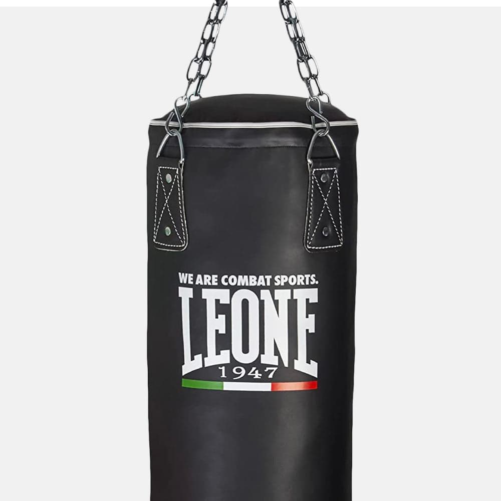 Sacchi da boxe