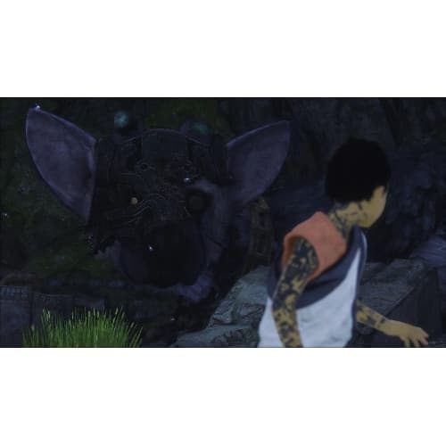 The Last Guardian PS4 PL Usato in Console Prezzo Bomba Store - Casalnuovo di Napoli, commercioVirtuoso.it