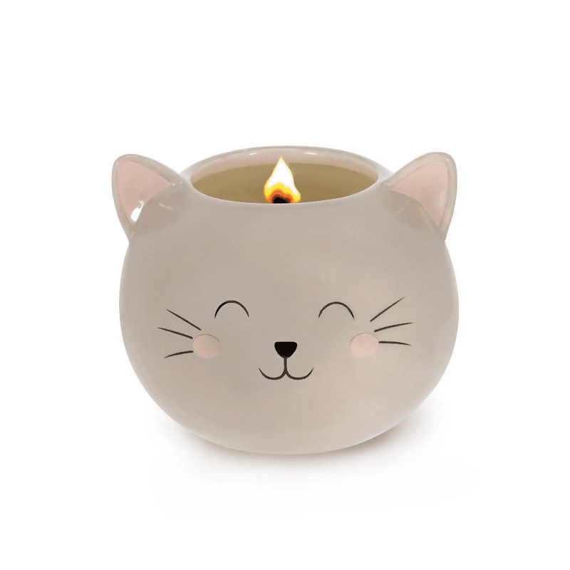 gatto 3