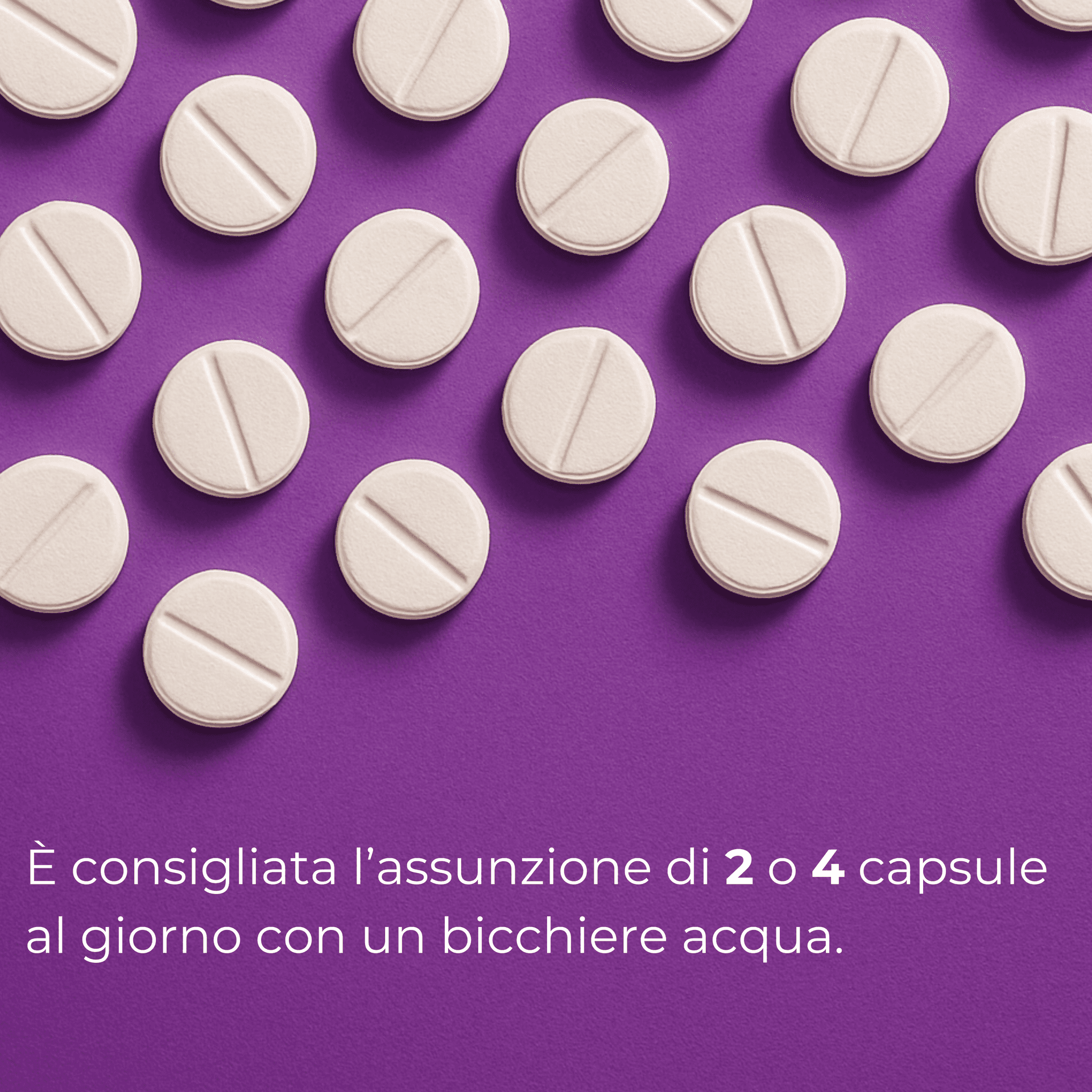 Aloe Brucia Grassi Integratore Per Dimagrire Alimentare Dimagrante Forte 60 Compresse Dimagrante Integratore Naturale in Bruciatori di grasso BasketGuru Italia - Palermo, commercioVirtuoso.it