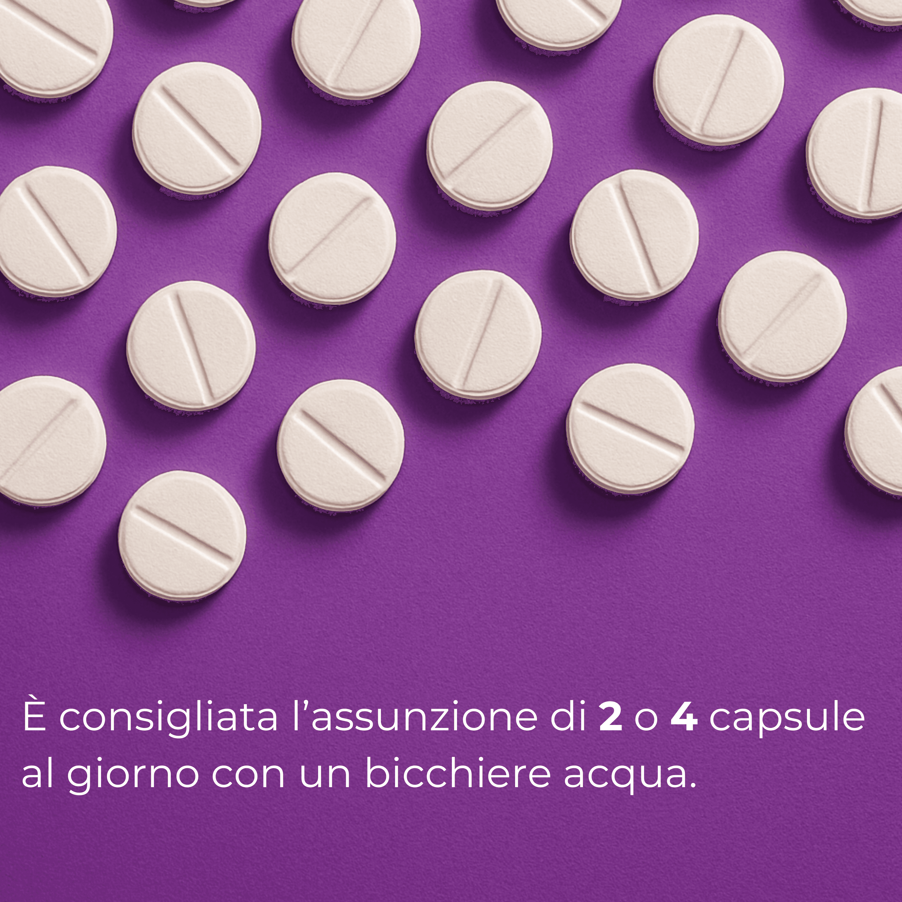 Aloe Brucia Grassi Integratore Per Dimagrire Alimentare Dimagrante Forte 60 Compresse Dimagrante Integratore Naturale in Bruciatori di grasso BasketGuru Italia - Palermo, commercioVirtuoso.it