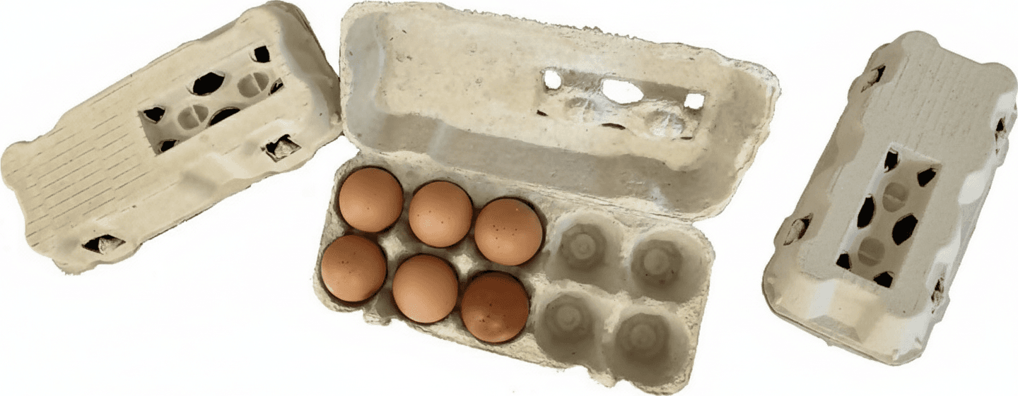 50x Contenitori Portauova Da 10 Uova In Cartone Con Coperchio Da Materiale Riciclato