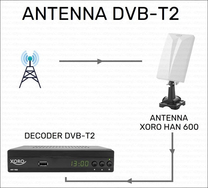 Antenna TV Digitale Terrestre UHF esterna amplificata portatile per camper XORO HAN 600 in Antenne TV DFP Elettronica Store - Scafati, commercioVirtuoso.it