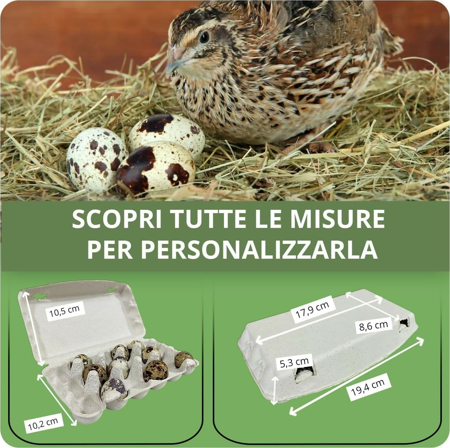 50x Confezioni da 18 Uova di Quaglia In Cartone Con Coperchio Portauova da Materiale Riciclato in Scatole e vassoi per uova Cartoniuova.it - Offida, commercioVirtuoso.it