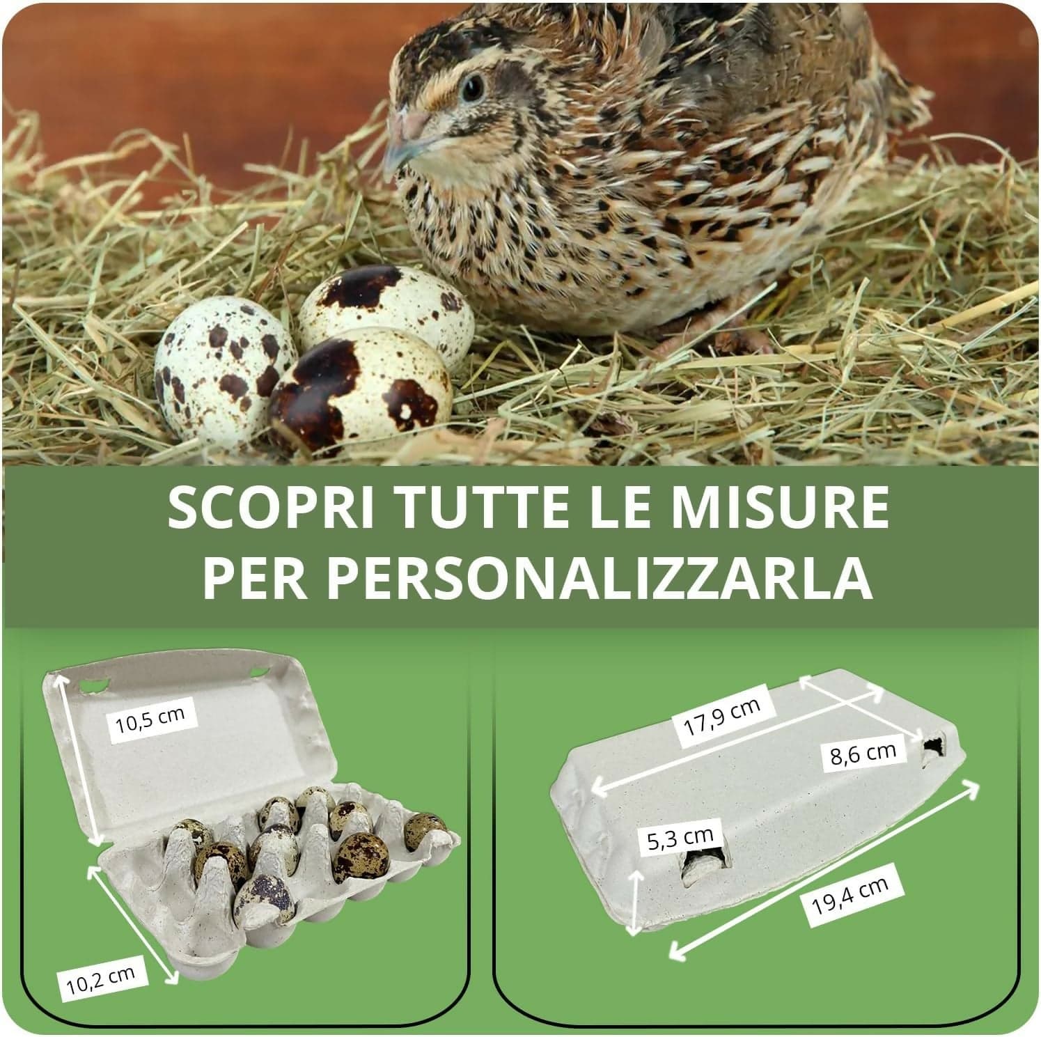50x Confezioni da 18 Uova di Quaglia In Cartone Con Coperchio Portauova da Materiale Riciclato in Scatole e vassoi per uova Cartoniuova.it - Offida, commercioVirtuoso.it