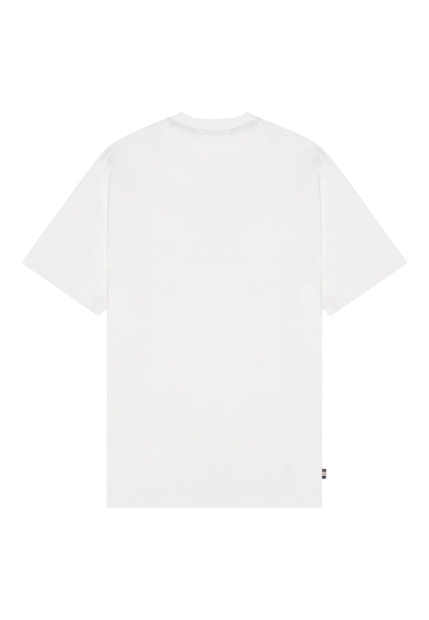 AQUASCUTUM T-shirt Uomo Aquascutum ICON TS009 02 WHITE da uomo in T-shirt Drestige - Casamassima, commercioVirtuoso.it