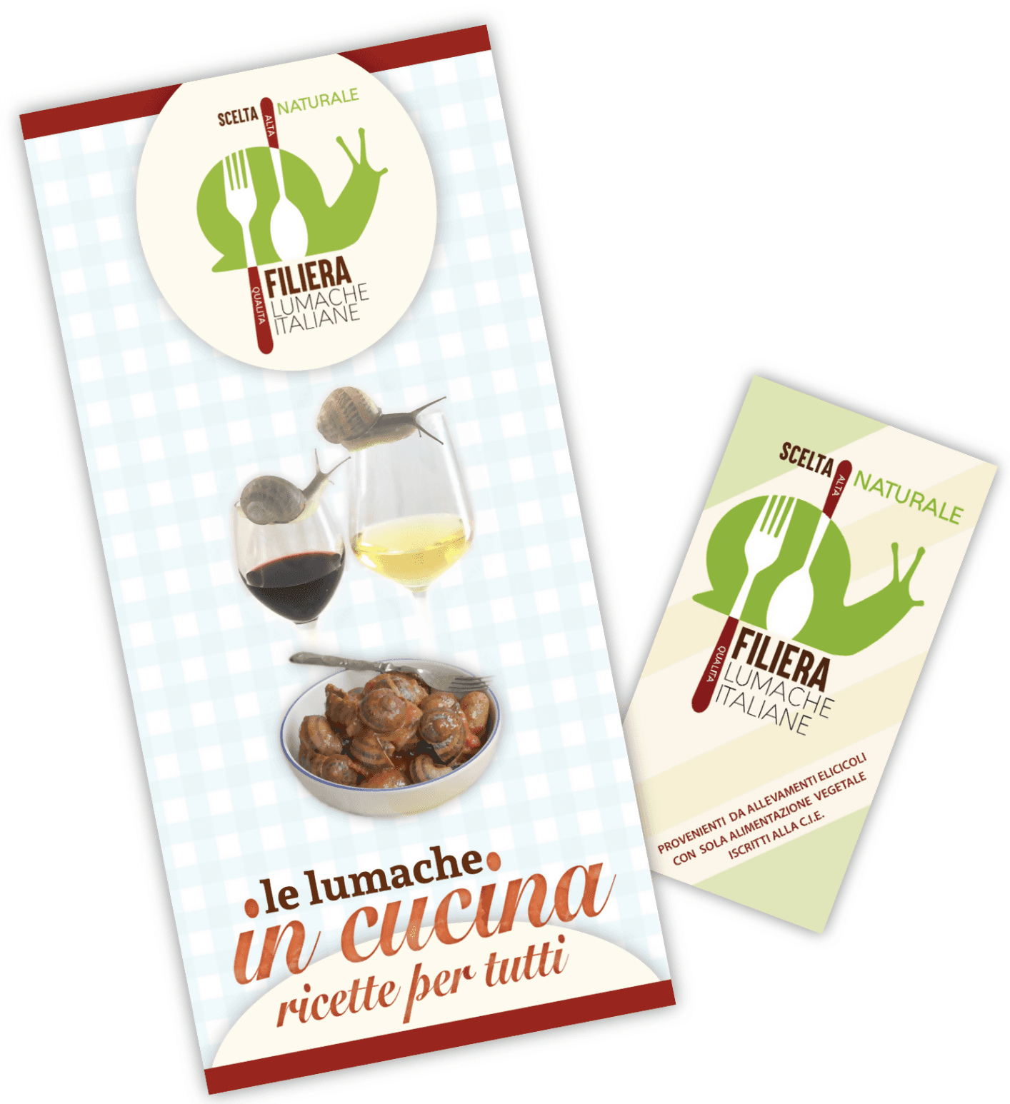 LUMACHE Monacella HELIX APERTA da Gastronomia Spurgate Pronte da Cucinare 100% Italiane + Ricettario Incluso in Lumache Coclè - Piana di Monte Verna, commercioVirtuoso.it