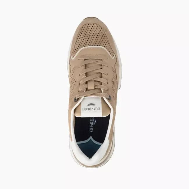 Alberto Guardiani uomo sneakers in suede in Sneaker casual Cantali Calzature - Randazzo, commercioVirtuoso.it