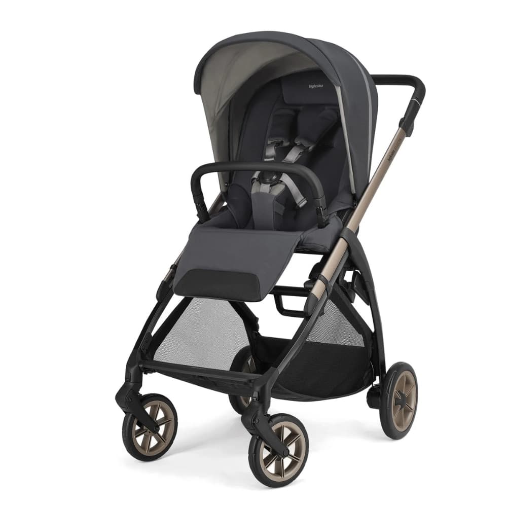 Kit System Quattro Inglesina Electa Darwin - 7