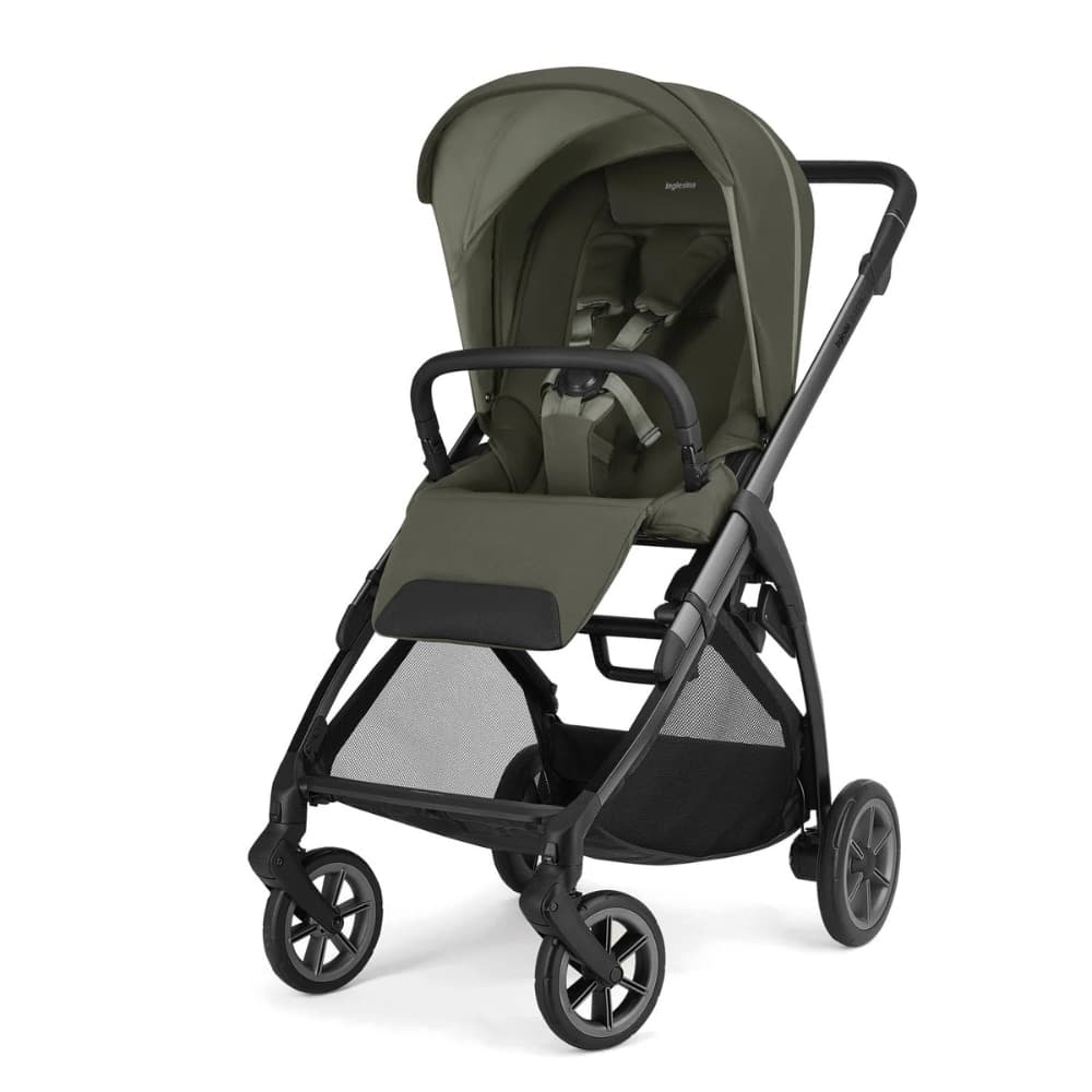 Kit System Quattro Inglesina Electa Darwin Recline - 7