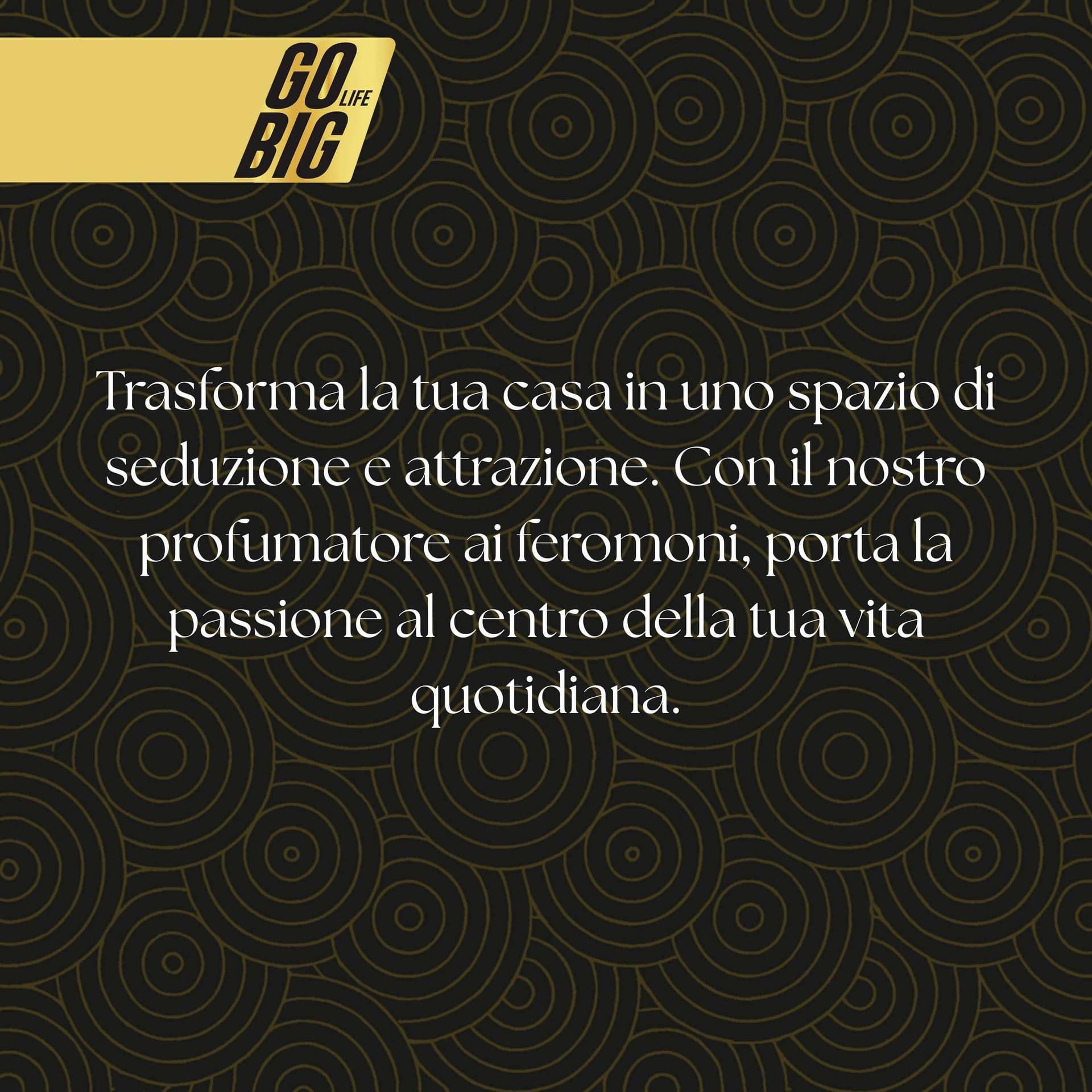 Gobig life profumatore ambiente e tessuti ai feromoni | fragranza seducente per lenzuola, divani e ambienti | aumenta l'attrazione e la passione in casa | diffusore elegante e accogliente in Spray profumati per la stanza BasketGuru Italia - Palermo, commercioVirtuoso.it