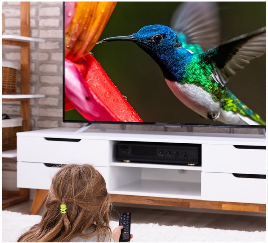 Televisore Smart 32" Pollici HD MANTA 32LHS89T DVB-T2/C H.265/HEVC 10 bit in Televisori DFP Elettronica Store - Scafati, commercioVirtuoso.it
