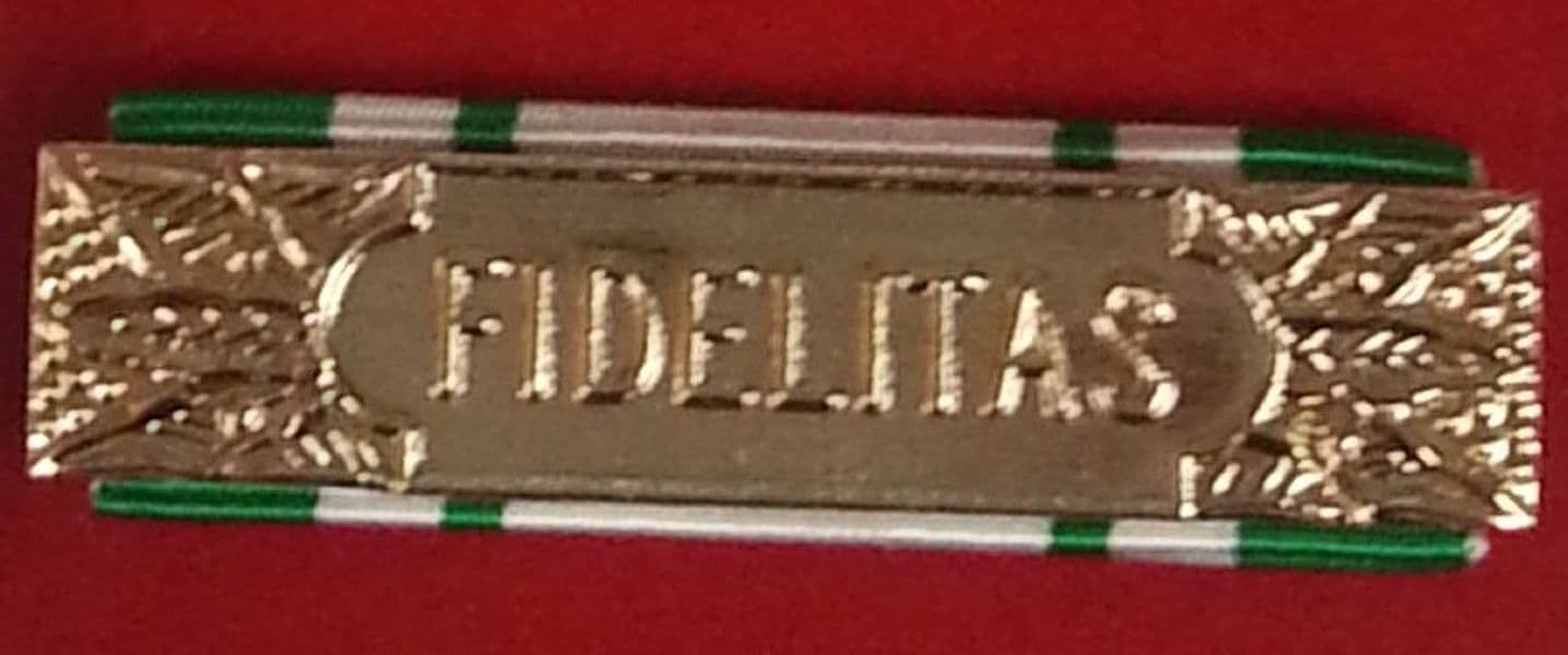 Anzianità 25 anni Croce Rossa Italiana - Nastro / nastrino / medaglia - 9