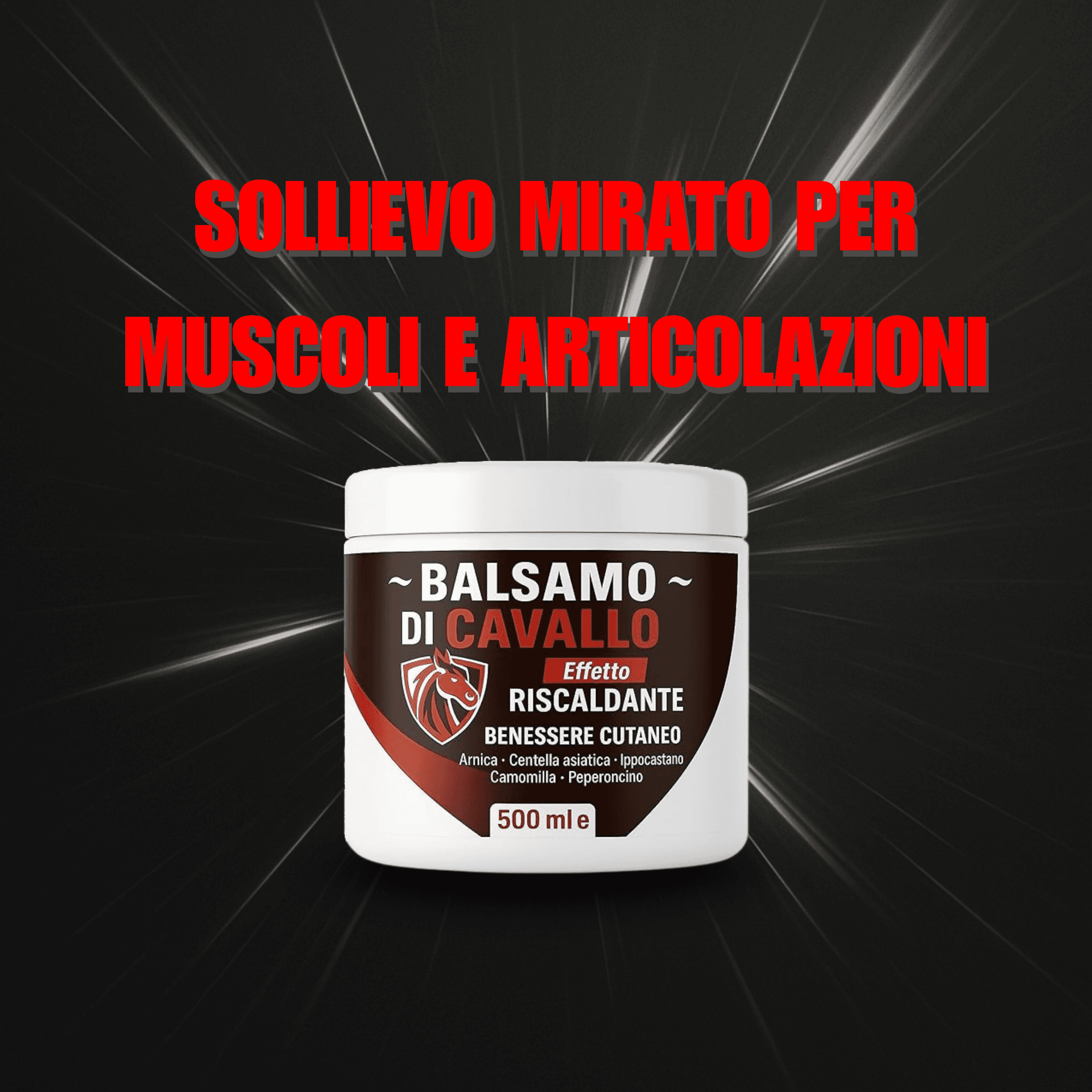 Alohalabs balsamo di cavallo balsamo arnica forte uso umano per muscoli e articolazioni 500ml - con artiglio del diavolo - azione rilassante e sollievo rapido in Creme BasketGuru Italia - Palermo, commercioVirtuoso.it