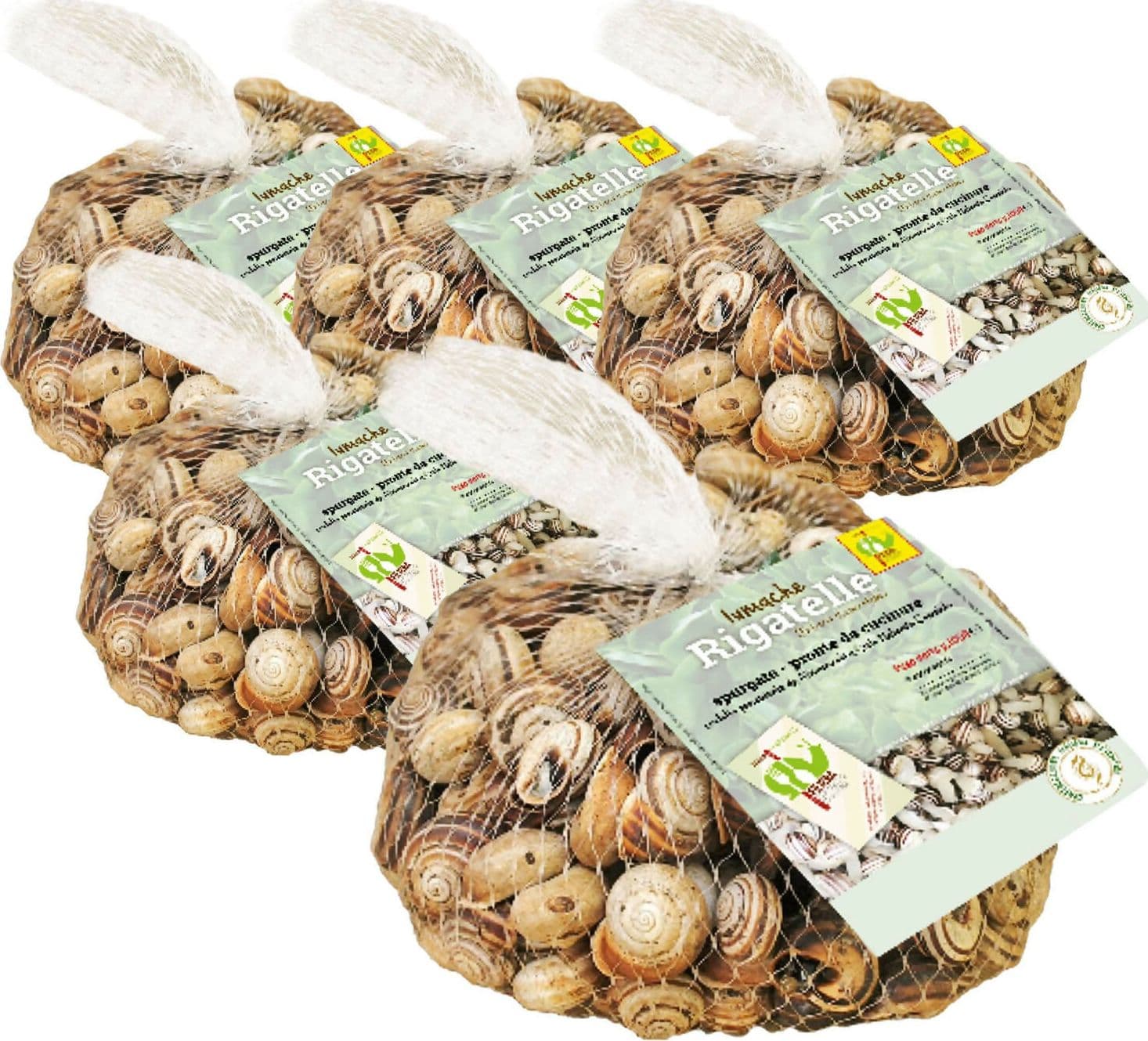 LUMACHE RIGATELLE da Gastronomia Eobania Vermiculata Spurgate Pronte da Cucinare 100% Italiane in Lumache Coclè - Piana di Monte Verna, commercioVirtuoso.it