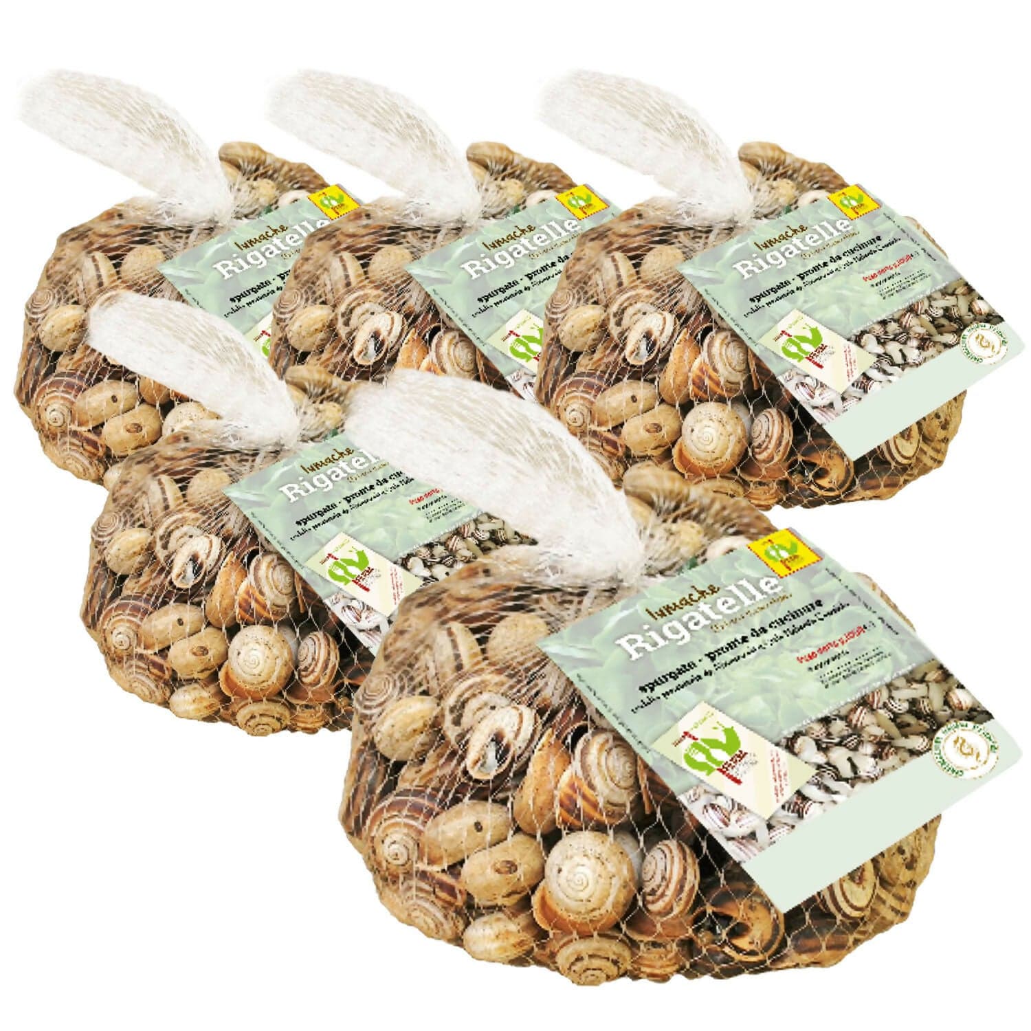 LUMACHE RIGATELLE da Gastronomia Eobania Vermiculata Spurgate Pronte da Cucinare 100% Italiane in Lumache Coclè - Piana di Monte Verna, commercioVirtuoso.it