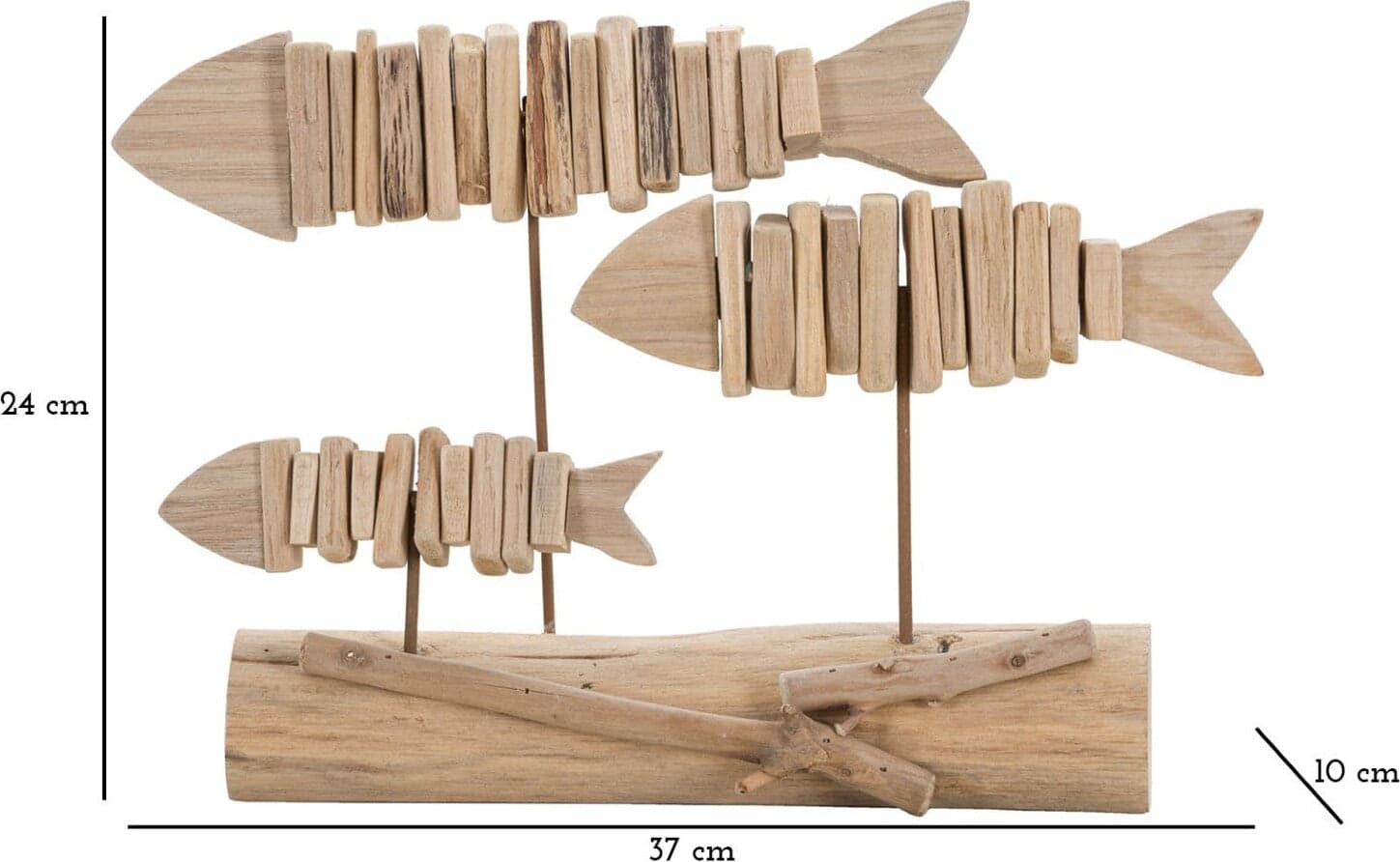 Pesci-Nature-Cm-37X10X24