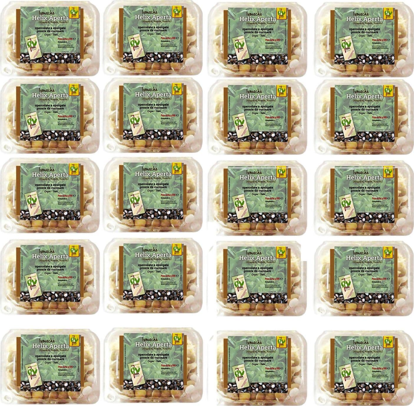 LUMACHE Monacella HELIX APERTA da Gastronomia Spurgate Pronte da Cucinare 100% Italiane + Ricettario Incluso in Lumache Coclè - Piana di Monte Verna, commercioVirtuoso.it