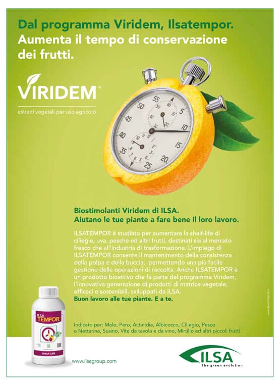 Biostimolante per frutteti ed ortaggi "ILSA DURADA" a base di idrolizzato enzimatico Fabaceae 1 lt Giardino e giardinaggio/Giardinaggio/Fertilizzanti e concimi/Fertilizzanti per vegetali La Zappa - Altamura, Commerciovirtuoso.it