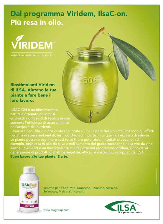 Biostimolante Naturale per Ulivi "ilsac-On" a Base Di Idrolizzato Enzimatico Fabaceae 1 Lt Giardino e giardinaggio/Giardinaggio/Fertilizzanti e concimi/Fertilizzanti per vegetali La Zappa - Altamura, Commerciovirtuoso.it
