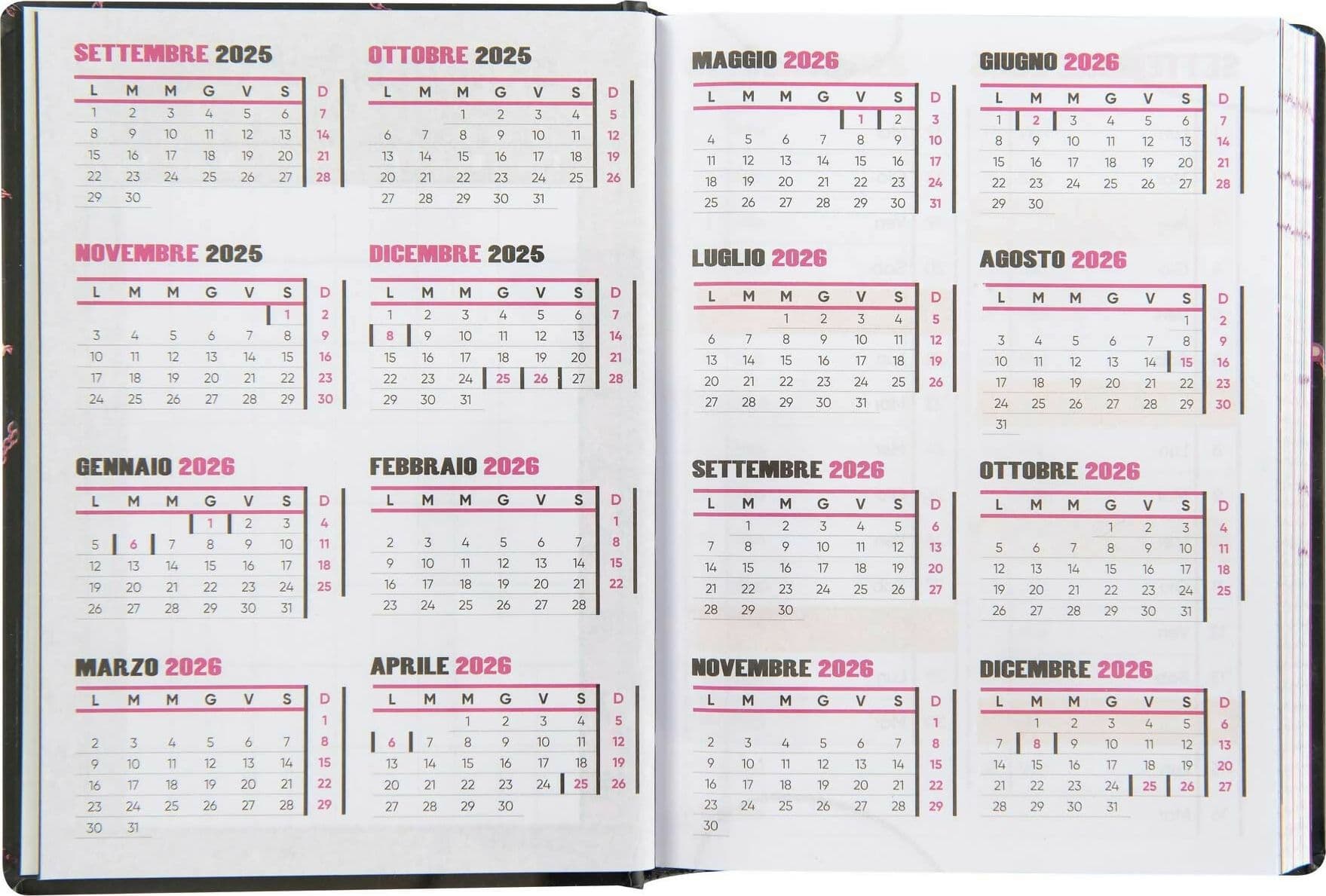 Diario-agenda-16-mesi-anna-pepe-6