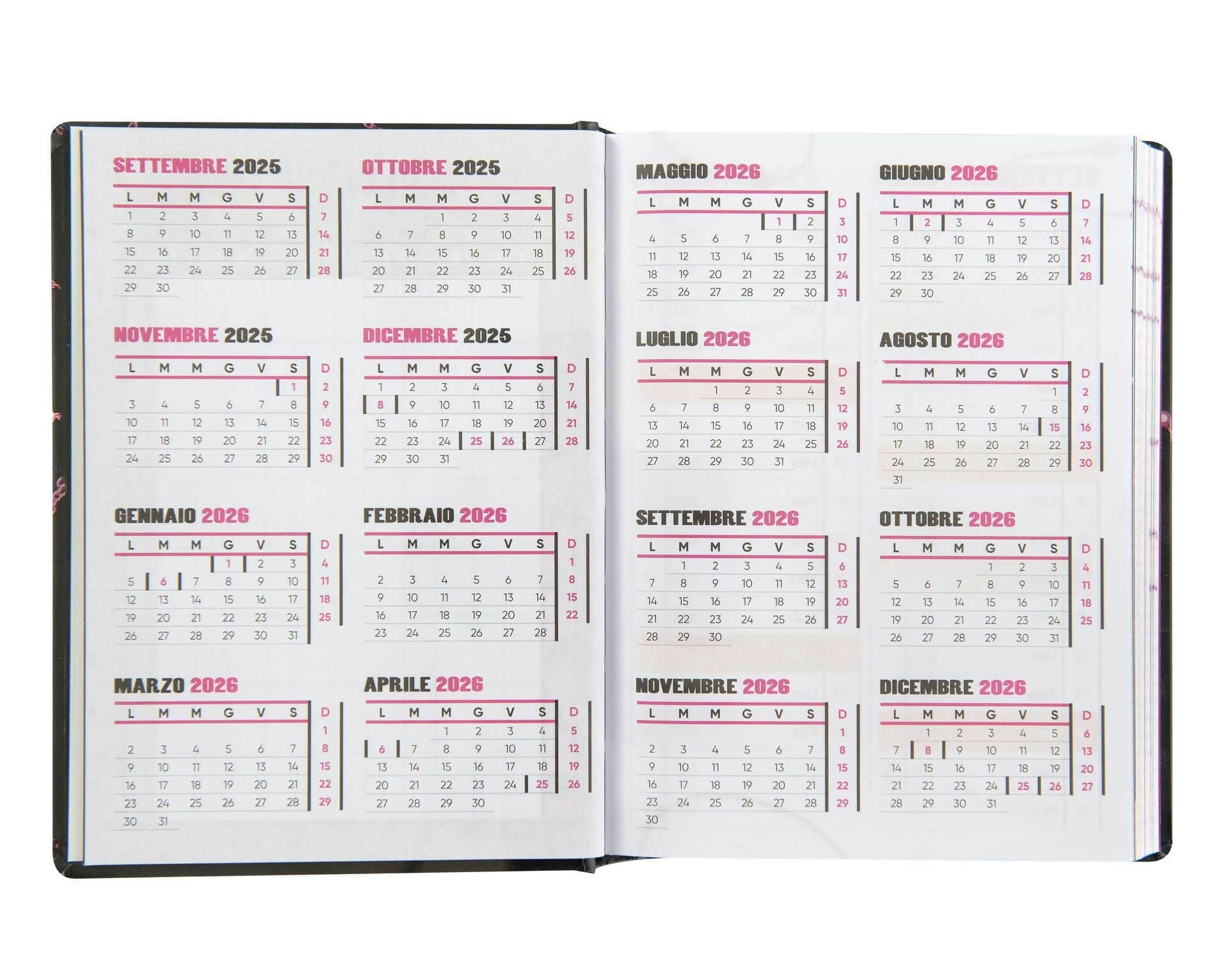 Diario-agenda-16-mesi-anna-pepe-6