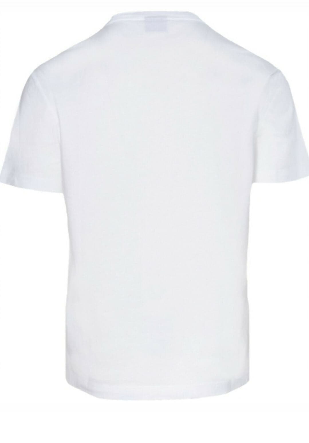 Emporio Armani T-Shirt Uomo Logo Series in Cotone Con Maxi Logo in T-shirt Euforia - Bronte, commercioVirtuoso.it
