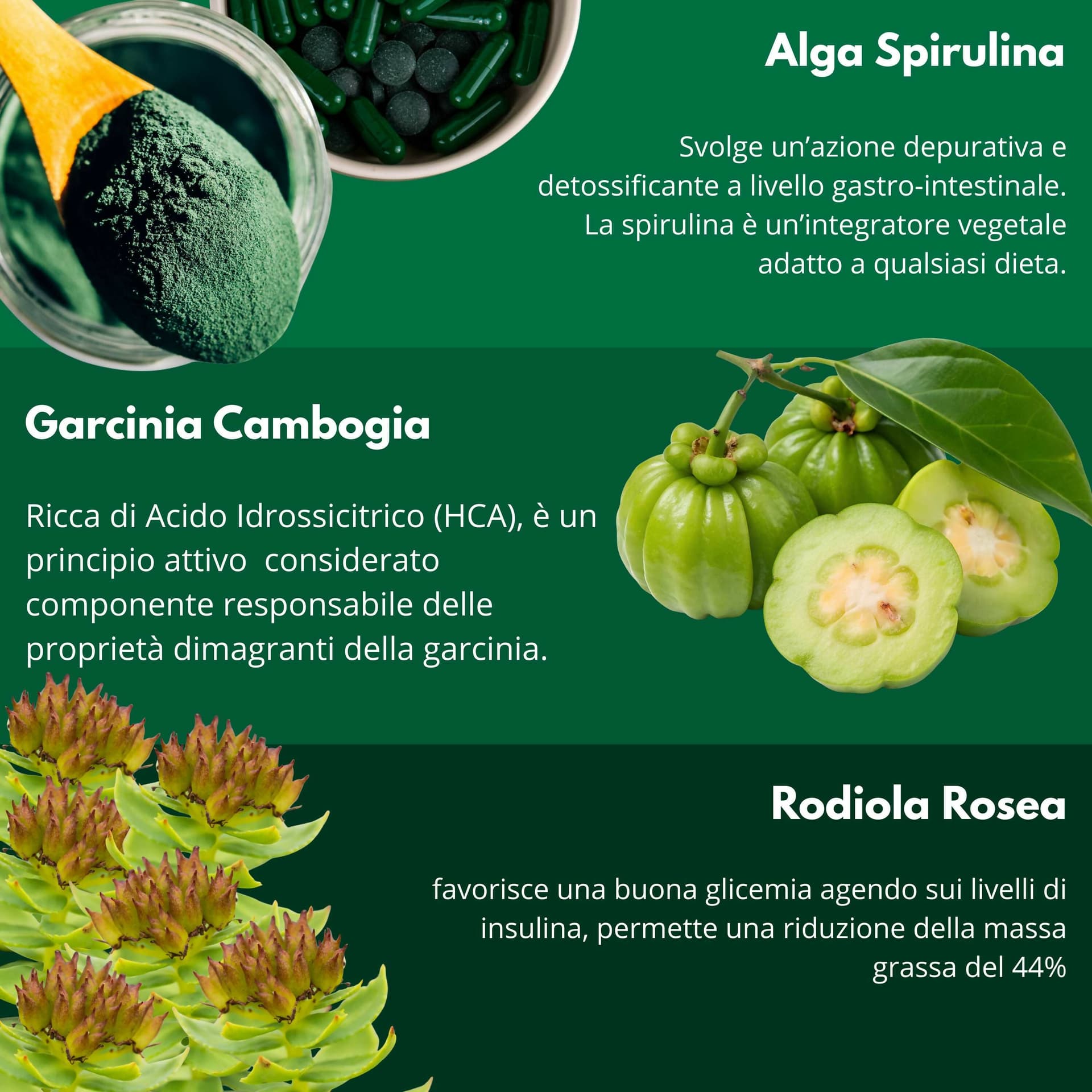 Spirulina Turbo Dimagrante – Integratore per Perdita di Peso – Riduce Fame Nervosa – Ultra Dimagrante Forte e Veloce – 60 Compresse 500mg – AlohaLabs in Spirulina BasketGuru Italia - Palermo, commercioVirtuoso.it