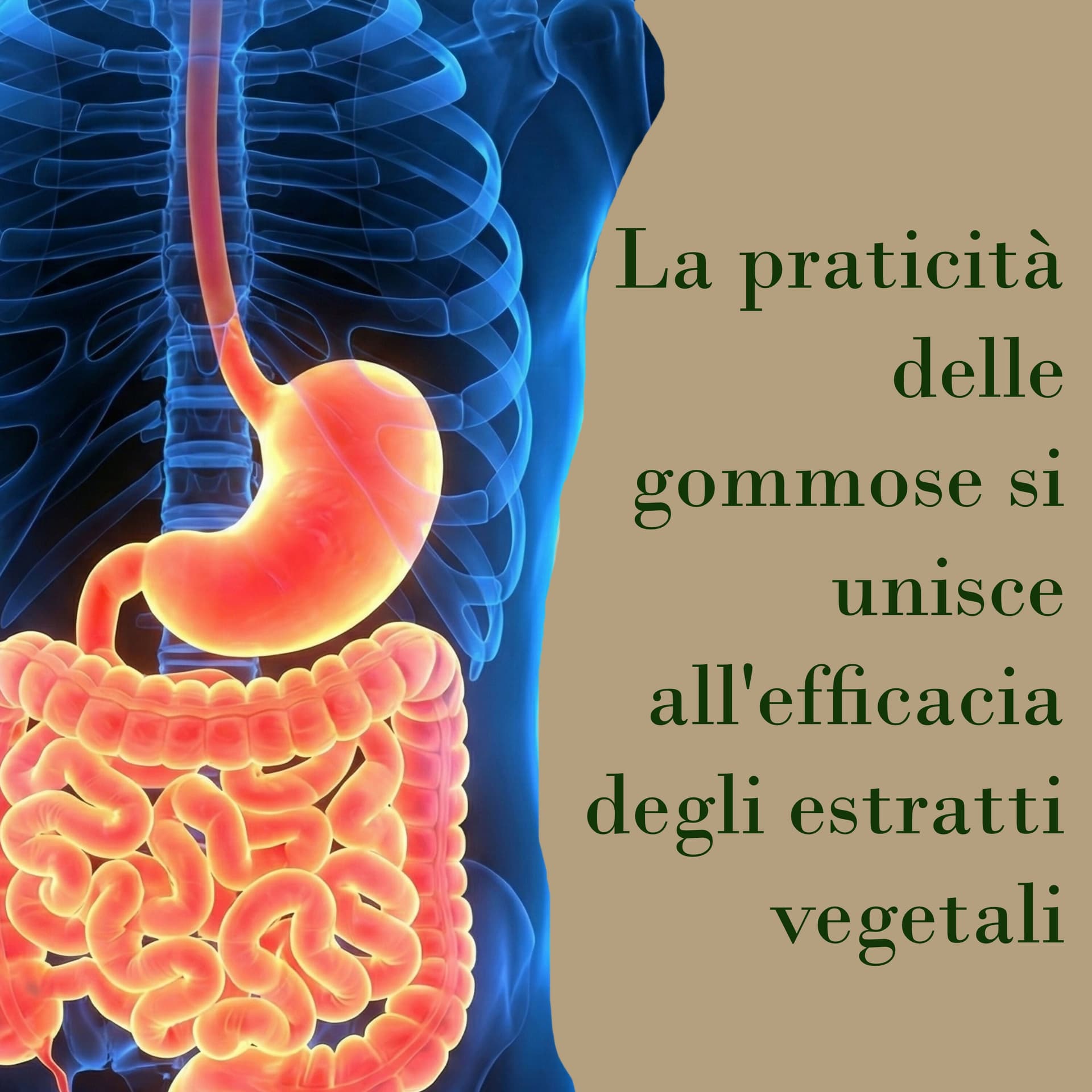 Gastronelle Integratore Alimentare per Gastrite e Reflusso - 60 Gommose Gusto Limone con Malva e Avena - Azione e Protettiva della Mucosa Gastrica in L-arginina BasketGuru Italia - Palermo, commercioVirtuoso.it
